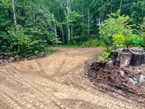 A dirt road in a wooded area.