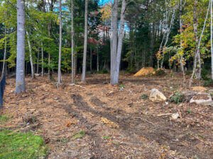 A wooded area with a dirt path and trees.