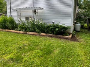 A small yard with a wooden garden bed.